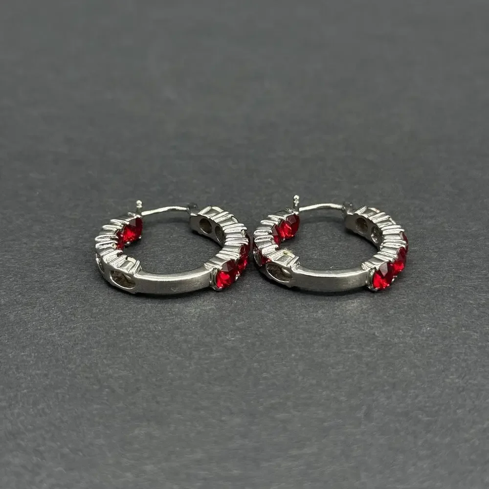 316L Surgical Stainless Steel Red Rhinestone Hoop & Stud Earrings Jewelry Lot